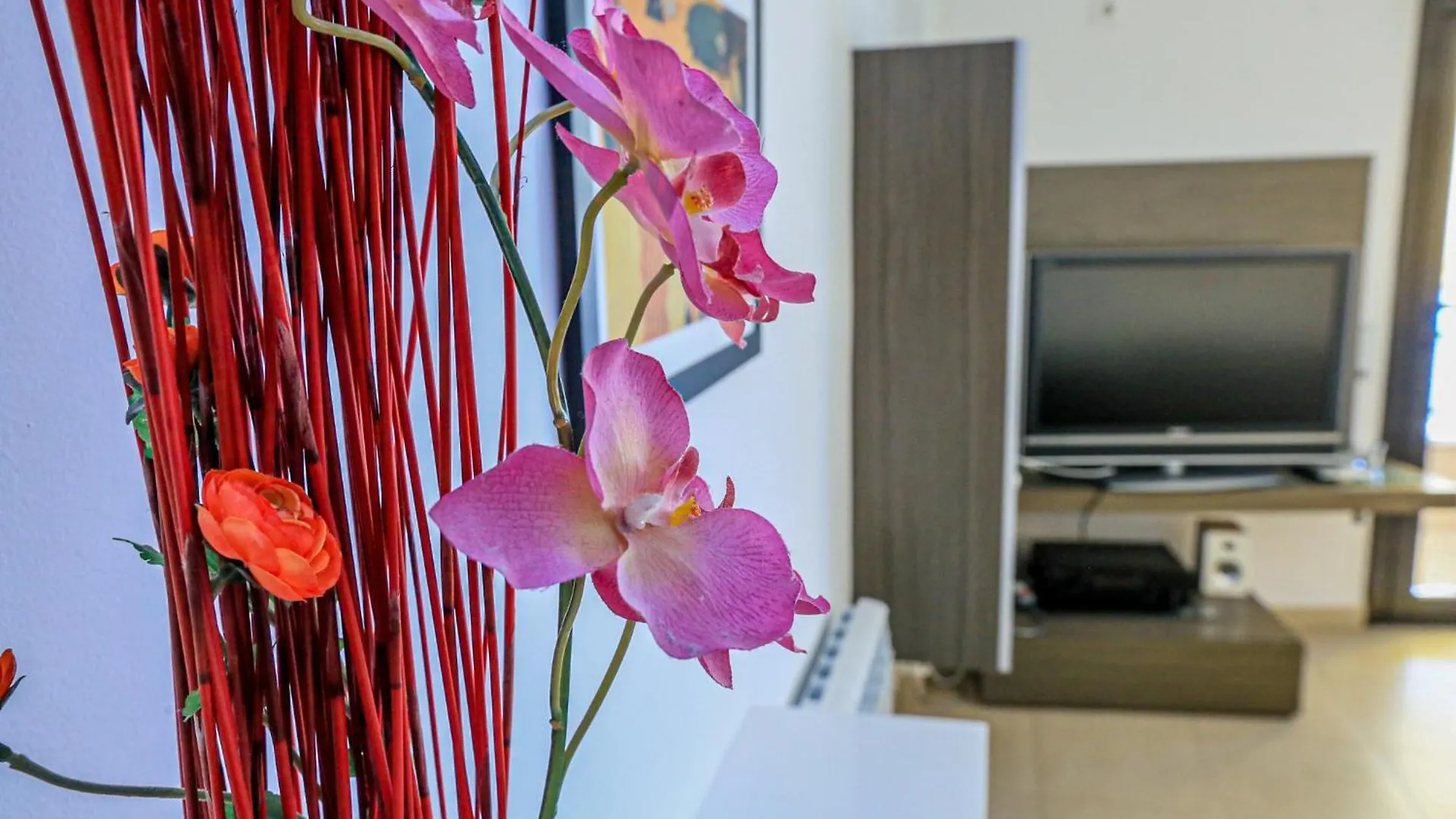 La Salle Litoral - Only Families Cambrils Spain